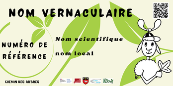 Modèle de pancarte vous signalant un arbre remarquable.