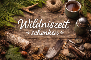 Angebote - Wildniszeit schenken: Tisch mit Thermoskanne und Naturmaterialien in der Wildnisschule Heidefeuer