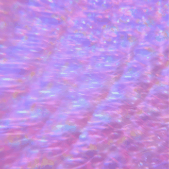 SSAANN - Echo