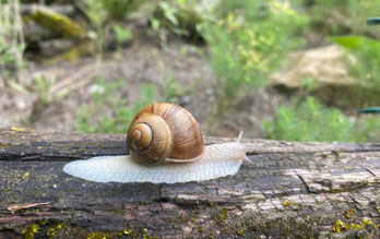 Foto: © Petra Buhl
