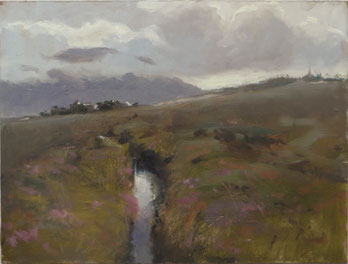 Bog of Doogort