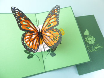 carte pop-up papillon orange et noir sur une rose blanche en carte d'anniversaire, remerciement, voeux.
