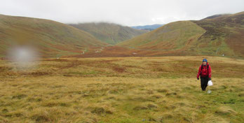THE OMM UK 2015