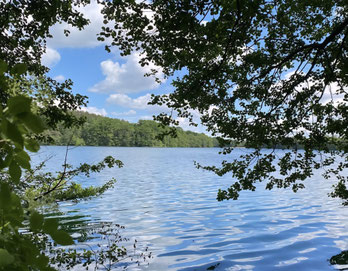 Herrenteich