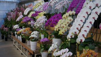 http://jp.fotolia.com/id/26901714 © wista45