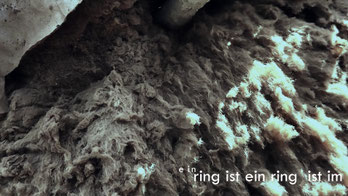 Fungi, Pilze, video, poem, poetry, Vaia Paziana, video kunst, video art, fungi art, exhibition, Flensburg