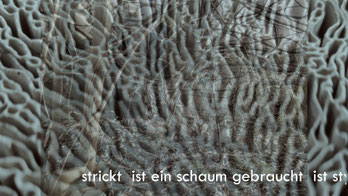 Fungi, Pilze, video, poem, poetry, Vaia Paziana, video kunst, video art, fungi art, exhibition, Flensburg