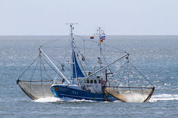 Foto: Krabbenkutter, Pixabay