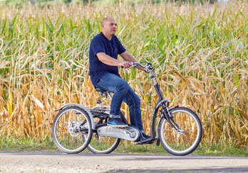 Van Raam Maxi Comfort Dreirad Elektro-Dreirad