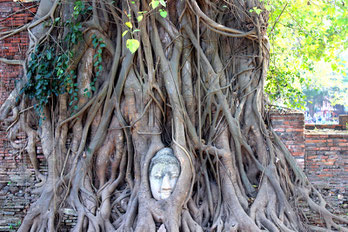 Explore the former royal city of Siam with its Historical Park with the help of our knowledgeable guides