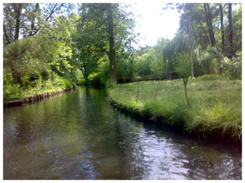 auf dem Wasserläufen des Spreewaldes