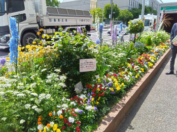 日吉駅前花壇 花ポケット