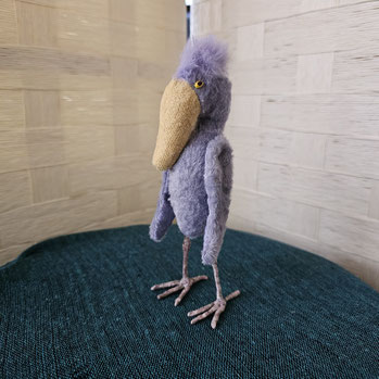 鳥界でファッションモデルやってます。