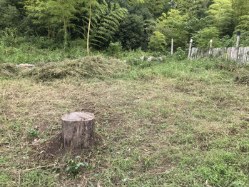 9月6日　草刈り終了