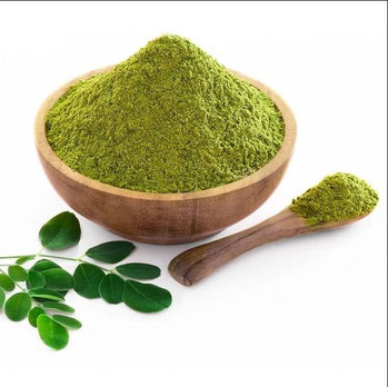 moringa-pulver-urlaub-curacao-ferienhaus-cas-iguana