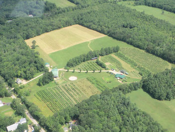 You can still see the outline of Herb Colburn's oval training track that surrounds the blueberry field behind the store. (2013)