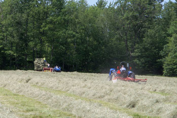 Haying the fields in 2011