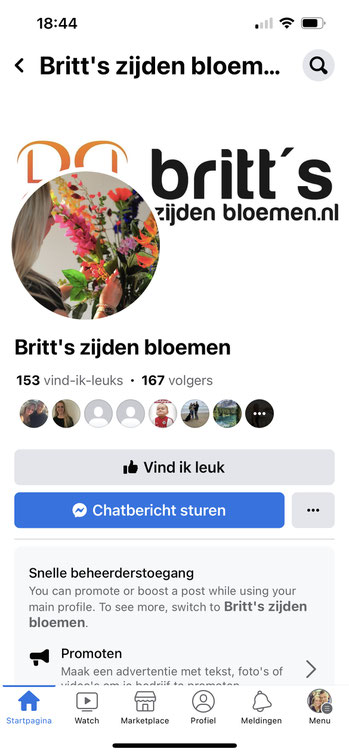 Britt's zijden bloemen in Haarsteeg Facebookpagina