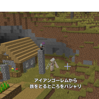 鉄不足解消のところをパシャリ
