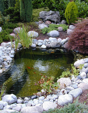 Fertigteich mit Koi Fische Wasserpflanzen Bäume Steine