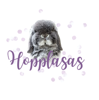 hopplasass Webseite!