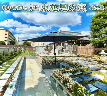 江東区樹木葬