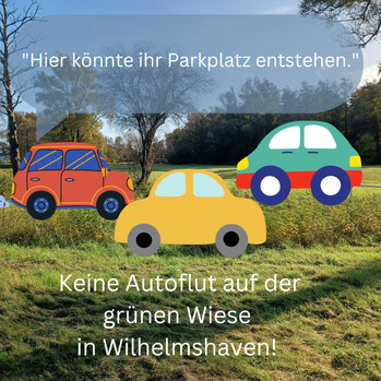 Autos werden auf einer Wiese abgestellt.