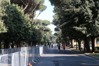 Blick auf die Gehstrecke (Foto: RaceWalk Pictures - Hagen Pohle)