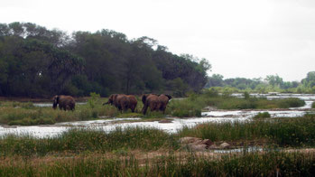 Galana River