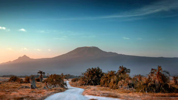 Kilimanjaro