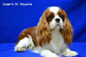IN FOTO, LIANE'S EL CHIQUITO