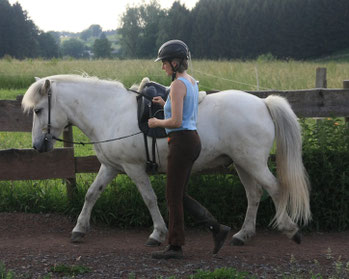 Reiterin Sigrid macht mit dem erwachsenen Schimmelwallach Skarpur Bodenarbeit auf dem Reitplatz