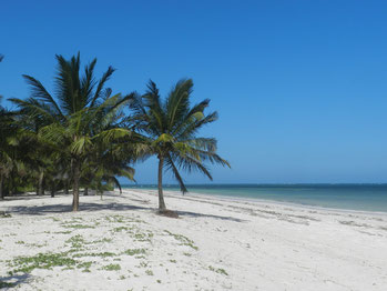 Diani Beach Kenia , Urlaub in Afrika