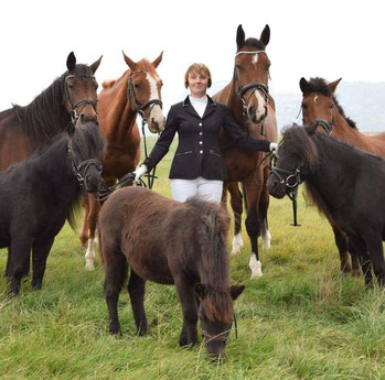 Reithof Wacker - Reiten in der Sächsischen Schweiz