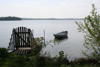 Ostseewut Recherche