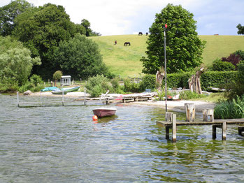 Ostseewut