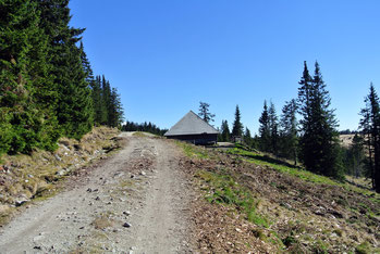 Am Weg auf die Pretulalpe