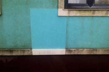 Fassade Algen reinigen