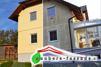 Algen Fassade