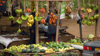 Fruits & Vegetables Market