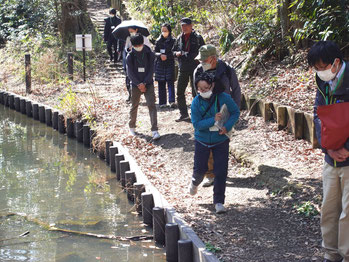 環境三四郎のメンバーの案内で駒場池を見学