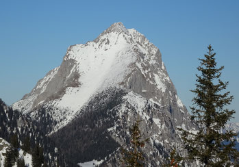 Lugauer mit Lugauerplan, vom Gscheideggkogel fotografiert