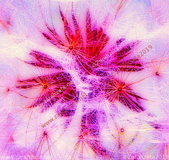 Zarahzetas Kunstwelt mit rosa Nebula