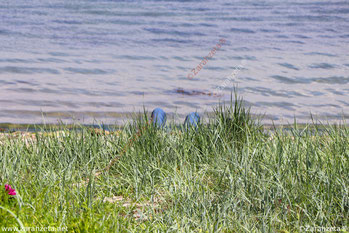 Relaxen am Strand in Jeans