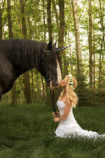 Hochzeitsfotoshooting, Hochzeitsbilder mit Pferd, Pferdefotografie, Einhorn, Shire Horse