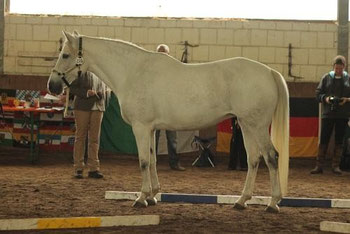 Naema Eintragung 2011