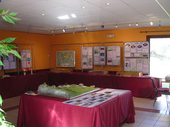 Exposition Geologie et Minéralogie