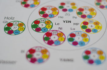 Die Elemente in der Kinesiologie, Yin und Yang