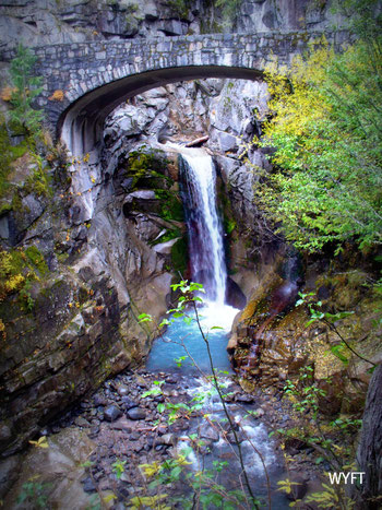 © Winifred. The beautiful Mount Rainier National Park, Washington. Our first National Park in USA. Nov 2008.