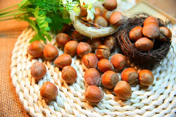 La noisette